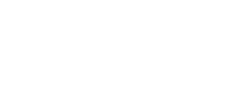 viralagency.com